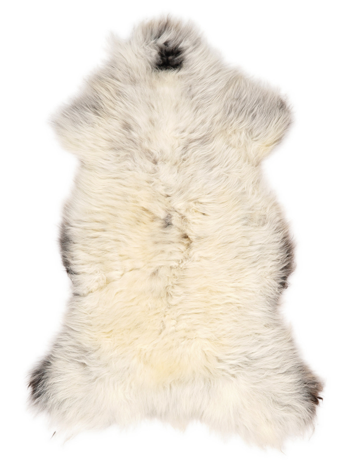 British multicolour sheepskin rug of about 130 × 65 cm, seen from above: the exact sheepskin you receive