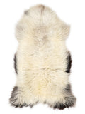British multicolour sheepskin rug of about 120 × 60 cm, seen from above: the exact sheepskin you receive