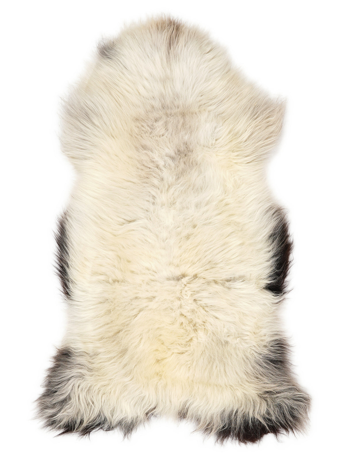 British multicolour sheepskin rug of about 120 × 60 cm, seen from above: the exact sheepskin you receive
