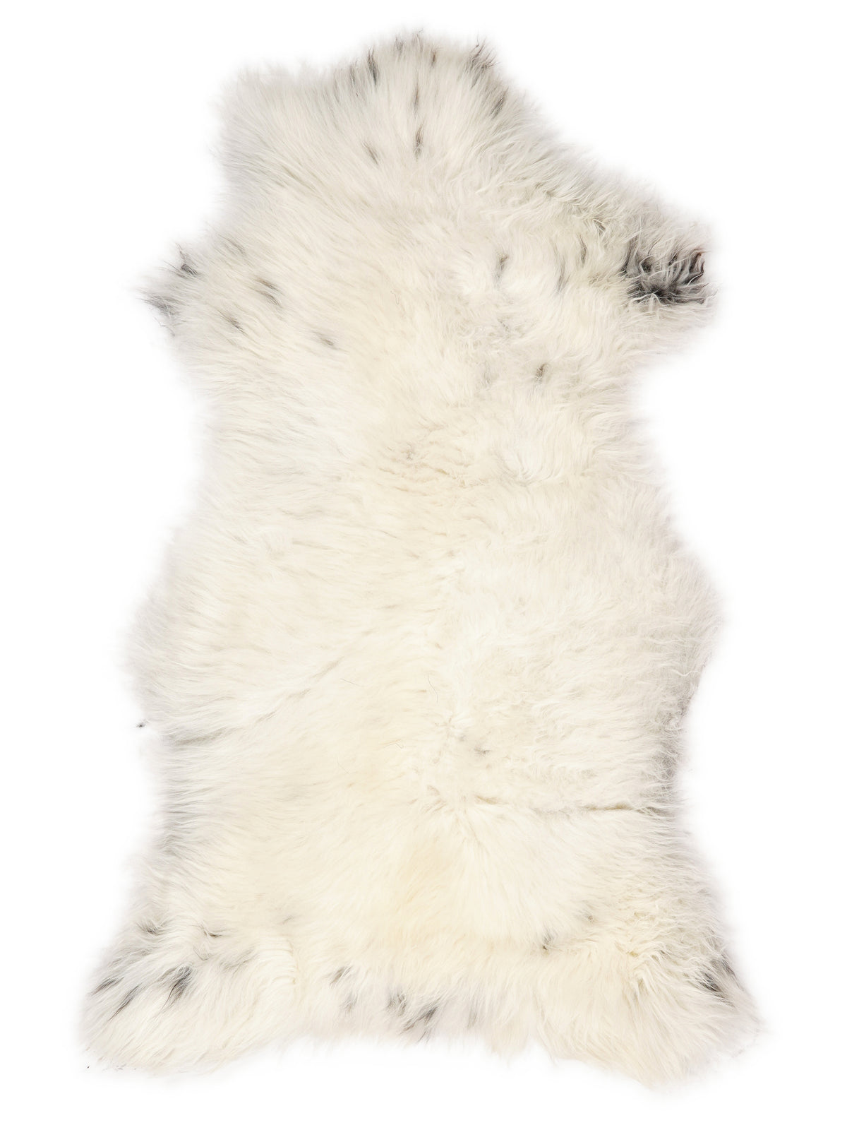 British multicolour sheepskin rug of about 120 × 70 cm, seen from above: the exact sheepskin you receive