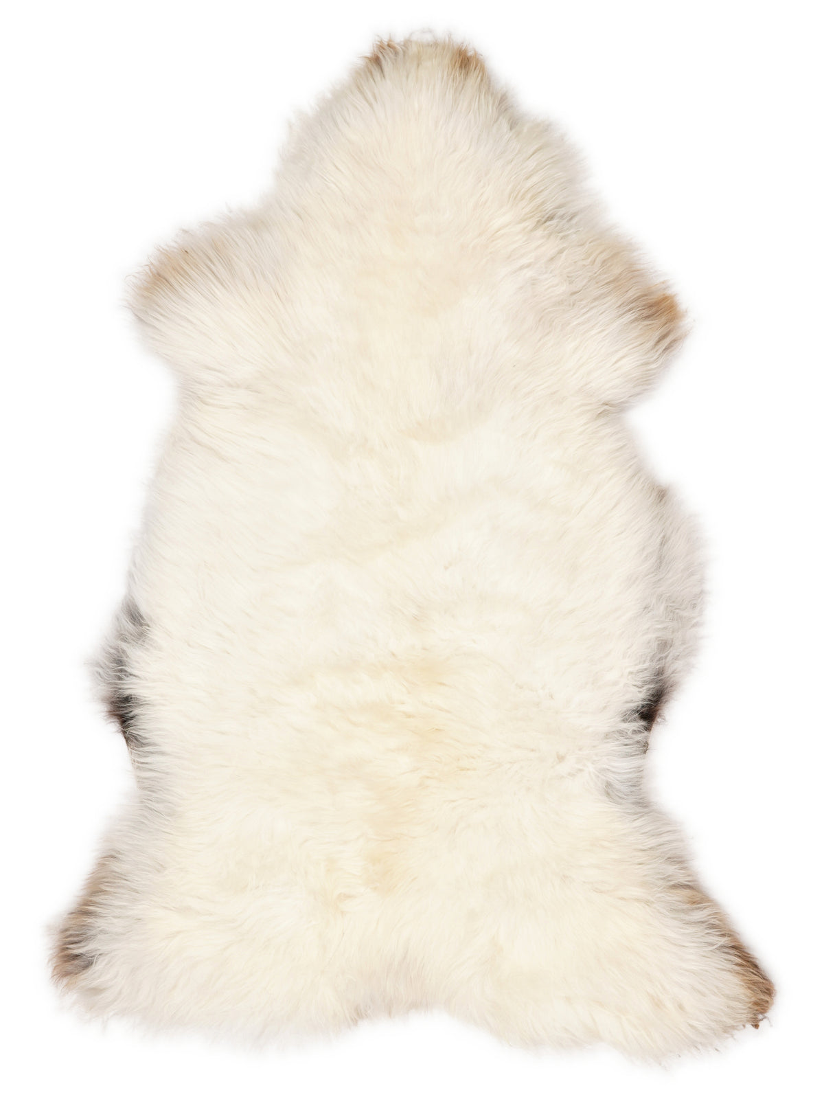 British multicolour sheepskin rug of about 120 × 70 cm, seen from above: the exact sheepskin you receive