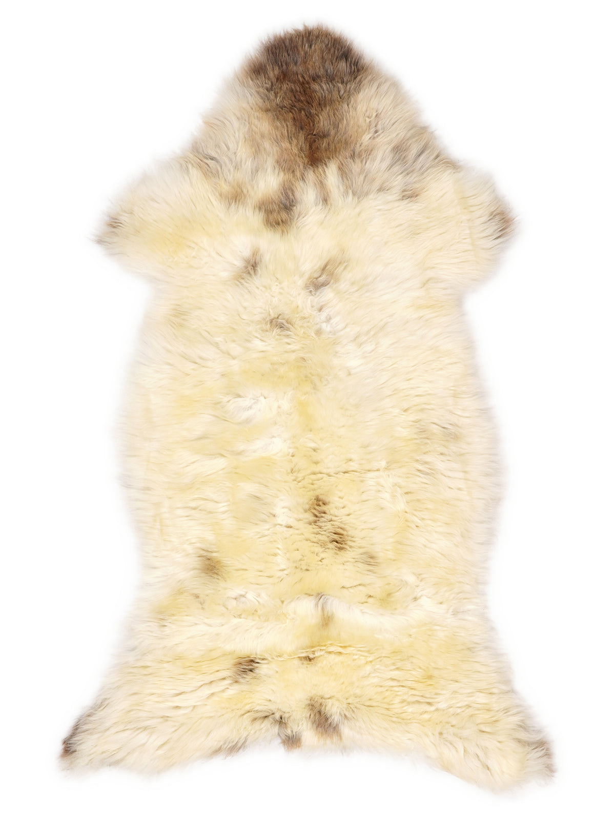 British multicolour sheepskin rug of about 120 × 60 cm, seen from above: the exact sheepskin you receive