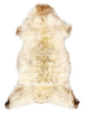 British multicolour sheepskin rug of about 120 × 55 cm, seen from above: the exact sheepskin you receive