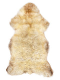 British multicolour sheepskin rug of about 125 × 65 cm, seen from above: the exact sheepskin you receive