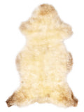 British multicolour sheepskin rug of about 120 × 65 cm, seen from above: the exact sheepskin you receive