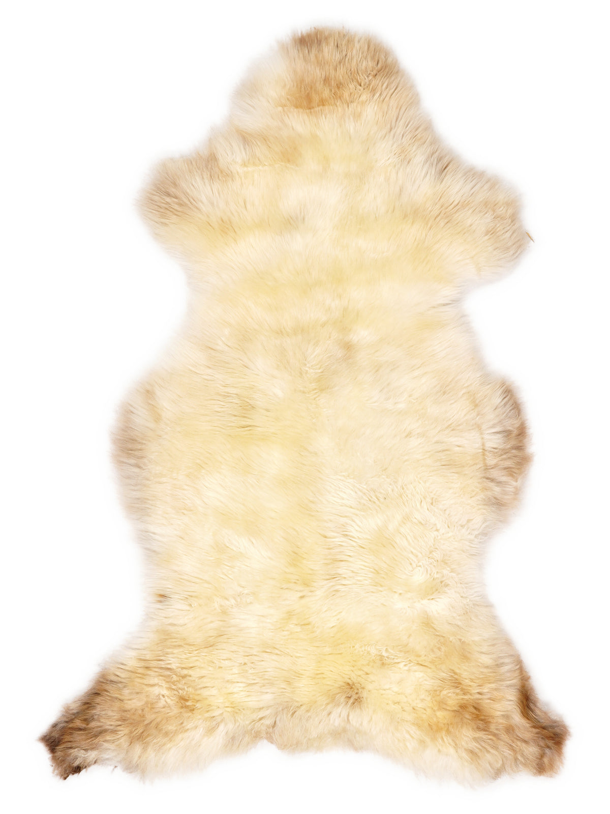 British multicolour sheepskin rug of about 120 × 65 cm, seen from above: the exact sheepskin you receive
