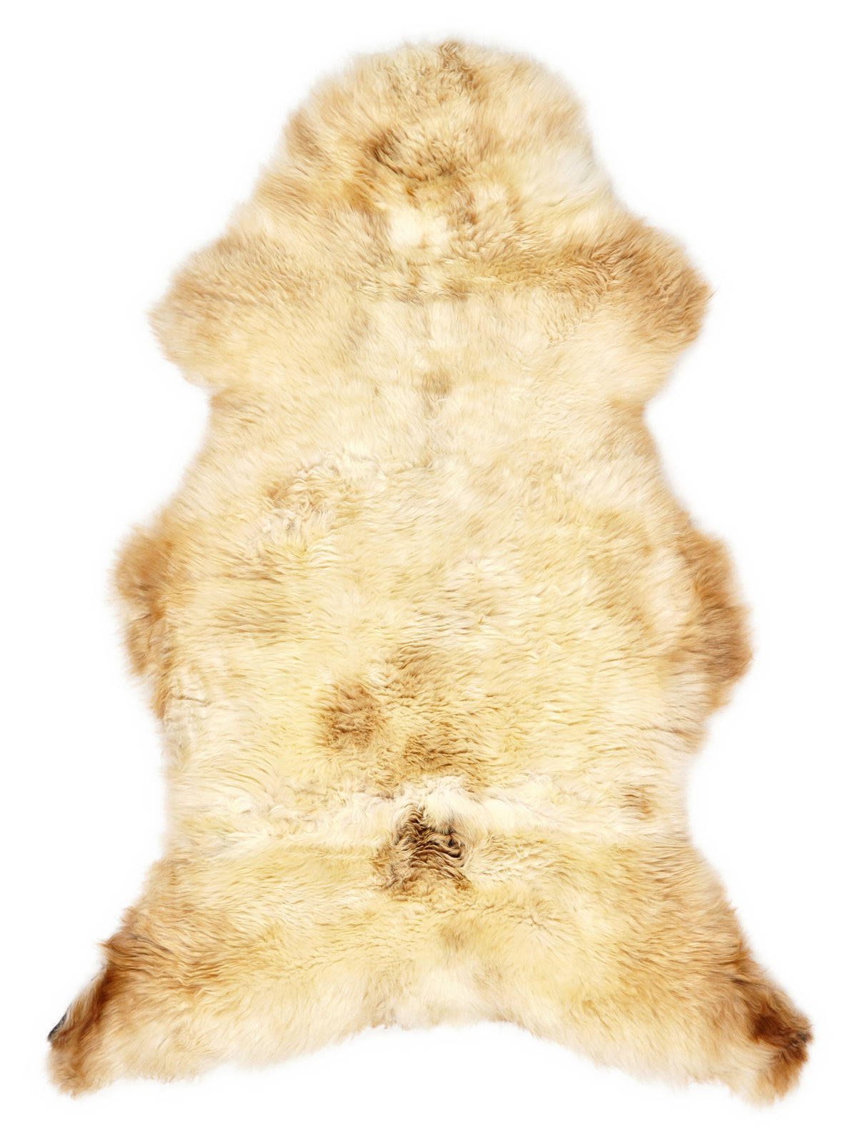 British multicolour sheepskin rug of about 130 × 70 cm, seen from above: the exact sheepskin you receive