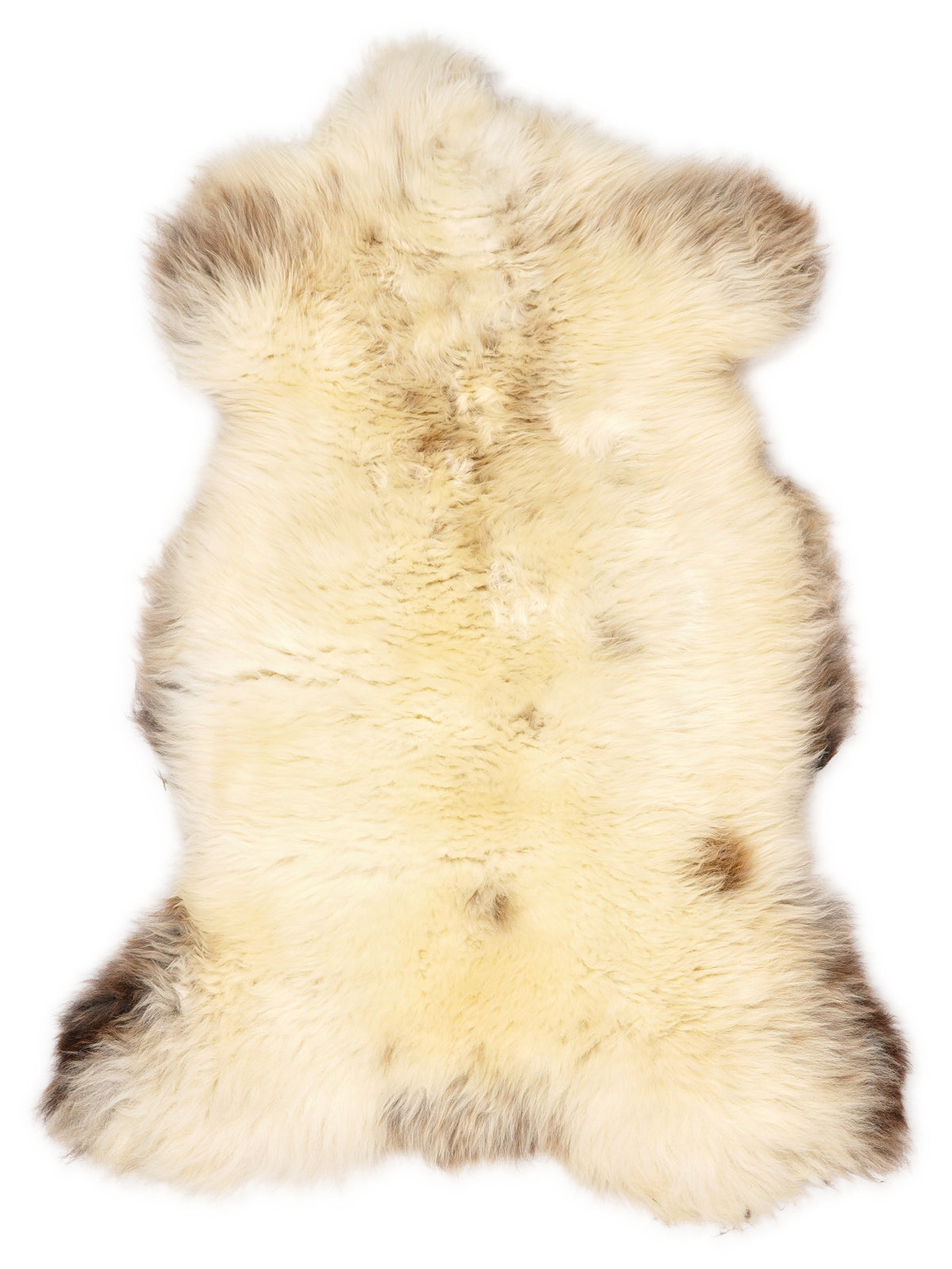 British multicolour sheepskin rug of about 120 × 70 cm, seen from above: the exact sheepskin you receive