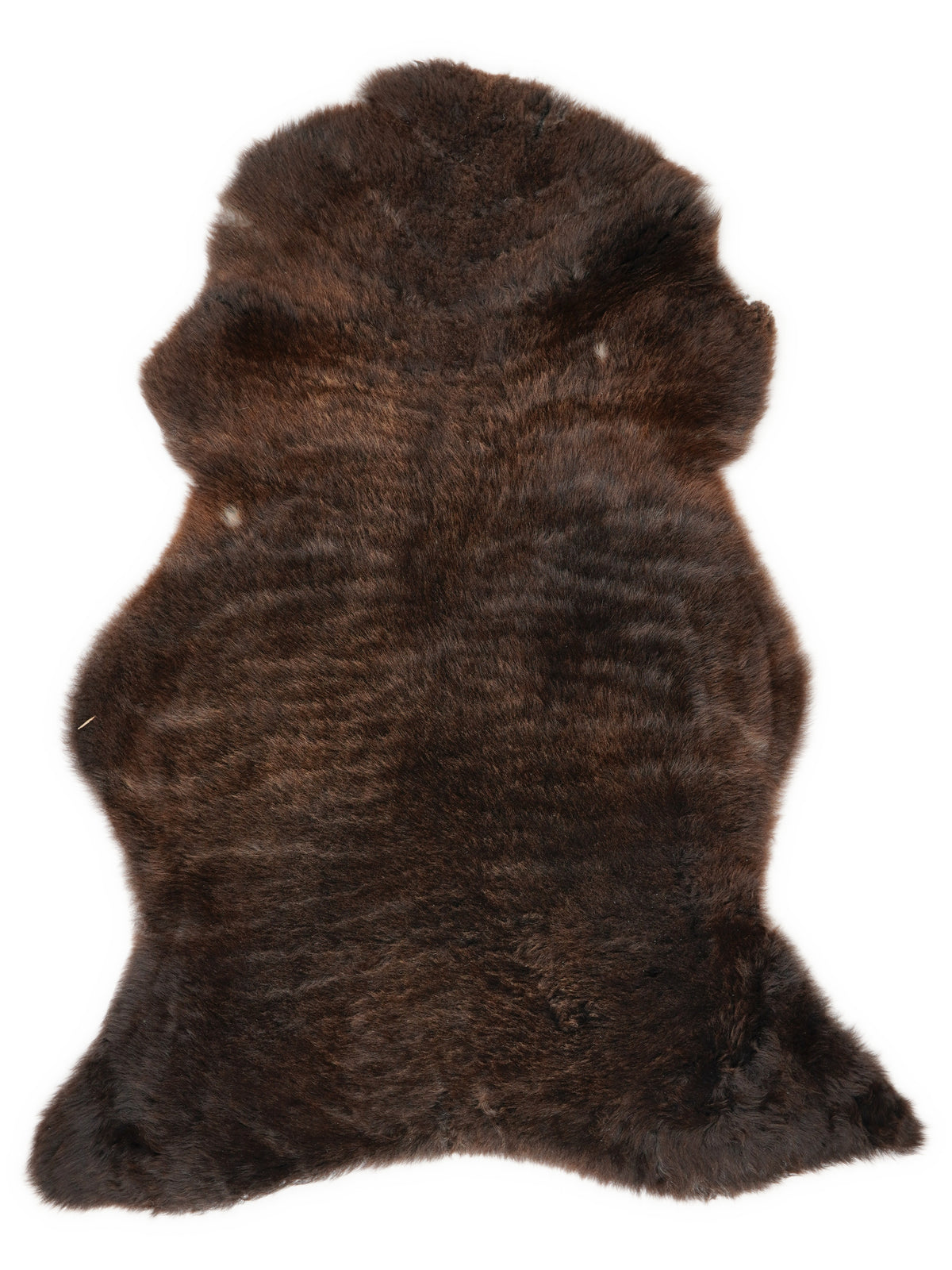 Brown sheepskin rug of about 110 × 70 cm, seen from above: the exact sheepskin you receive