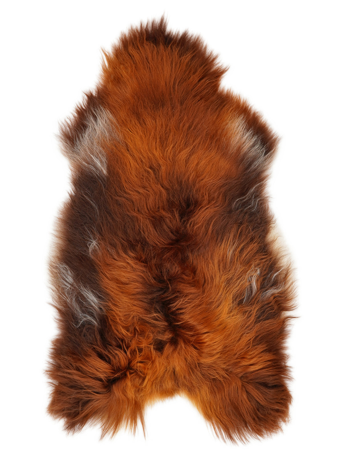 Icelandic Rusty sheepskin rug of about 130 × 70 cm, seen from above: the exact sheepskin you receive