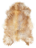 Icelandic multicolour sheepskin rug of about 120 × 80 cm, seen from above: the exact sheepskin you receive