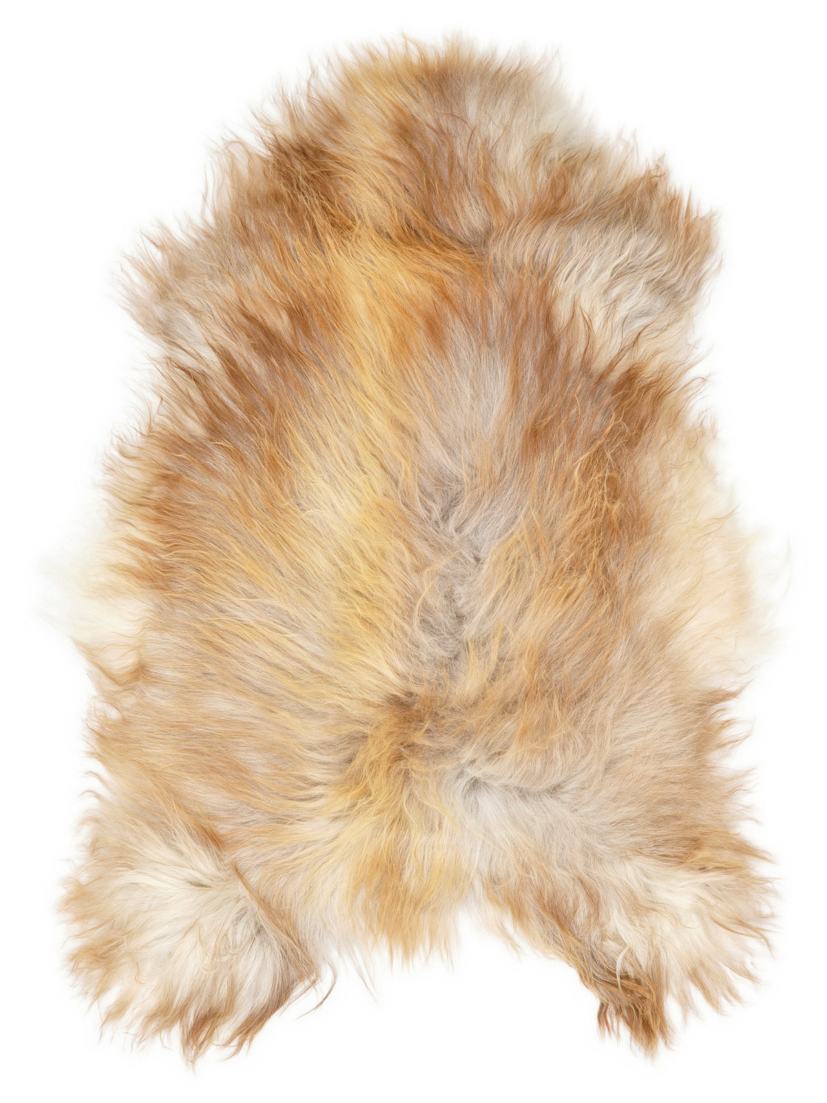 Icelandic multicolour sheepskin rug of about 120 × 80 cm, seen from above: the exact sheepskin you receive