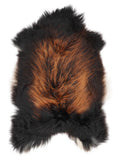 Icelandic multicolour sheepskin rug of about 110 × 75 cm, seen from above: the exact sheepskin you receive