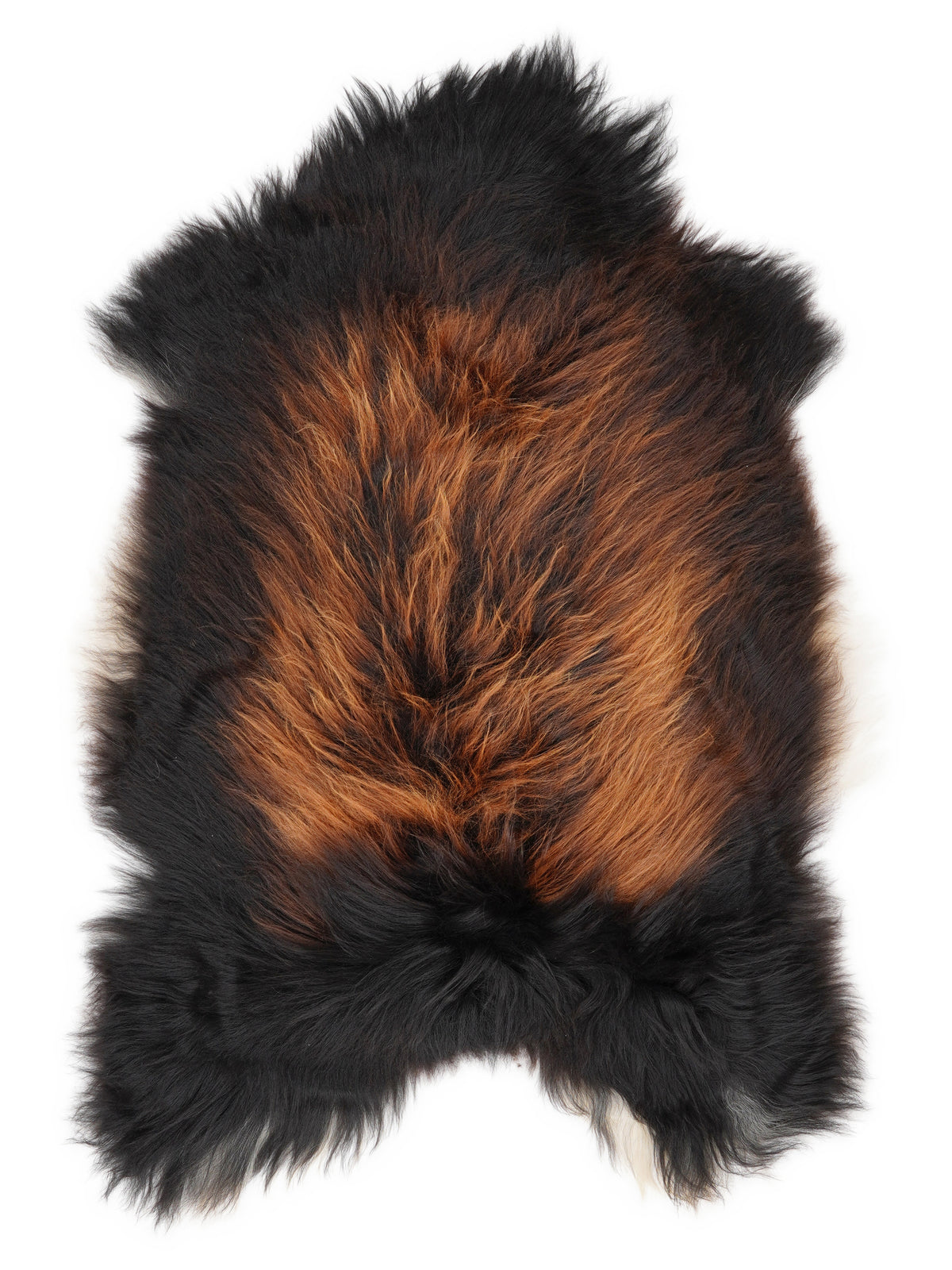 Icelandic multicolour sheepskin rug of about 110 × 75 cm, seen from above: the exact sheepskin you receive