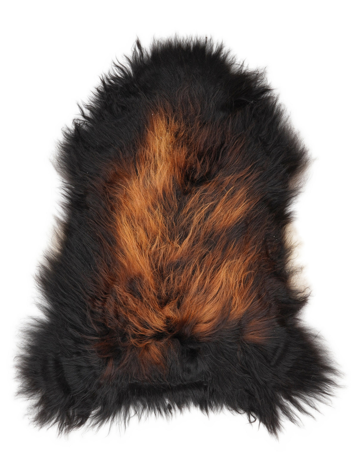 Icelandic multicolour sheepskin rug of about 120 × 80 cm, seen from above: the exact sheepskin you receive
