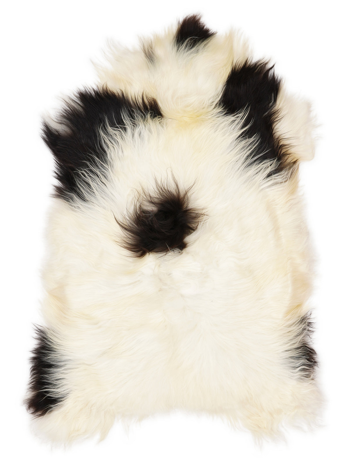 Icelandic multicolour sheepskin rug of about 110 × 70 cm, seen from above: the exact sheepskin you receive