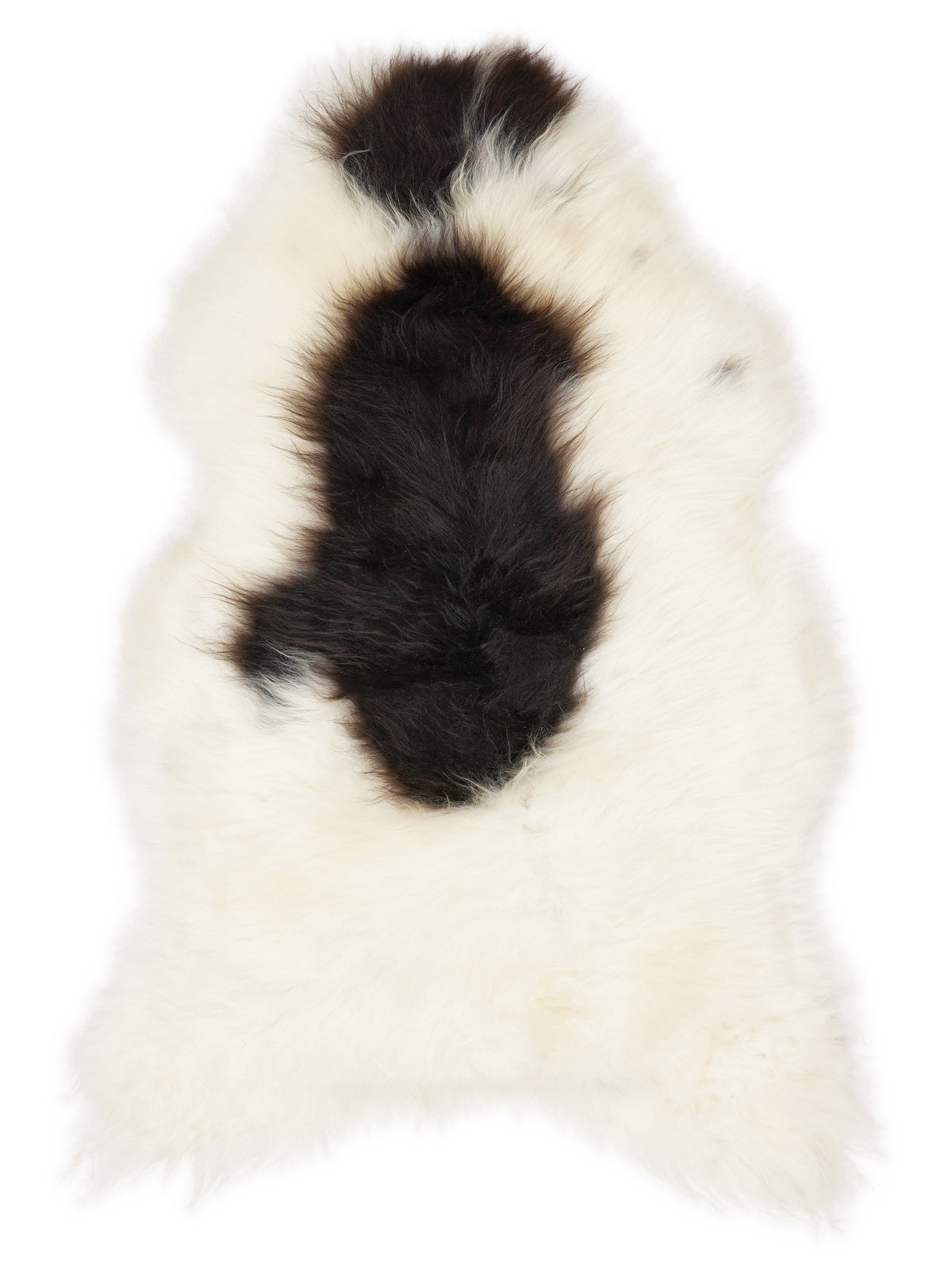 Icelandic multicolour sheepskin rug of about 110 × 65 cm, seen from above: the exact sheepskin you receive