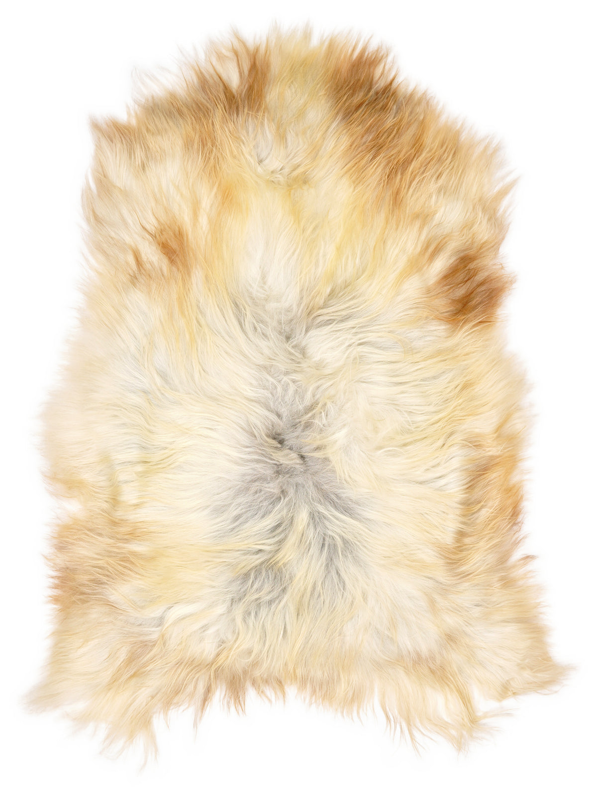 Icelandic multicolour sheepskin rug of about 125 × 80 cm, seen from above: the exact sheepskin you receive