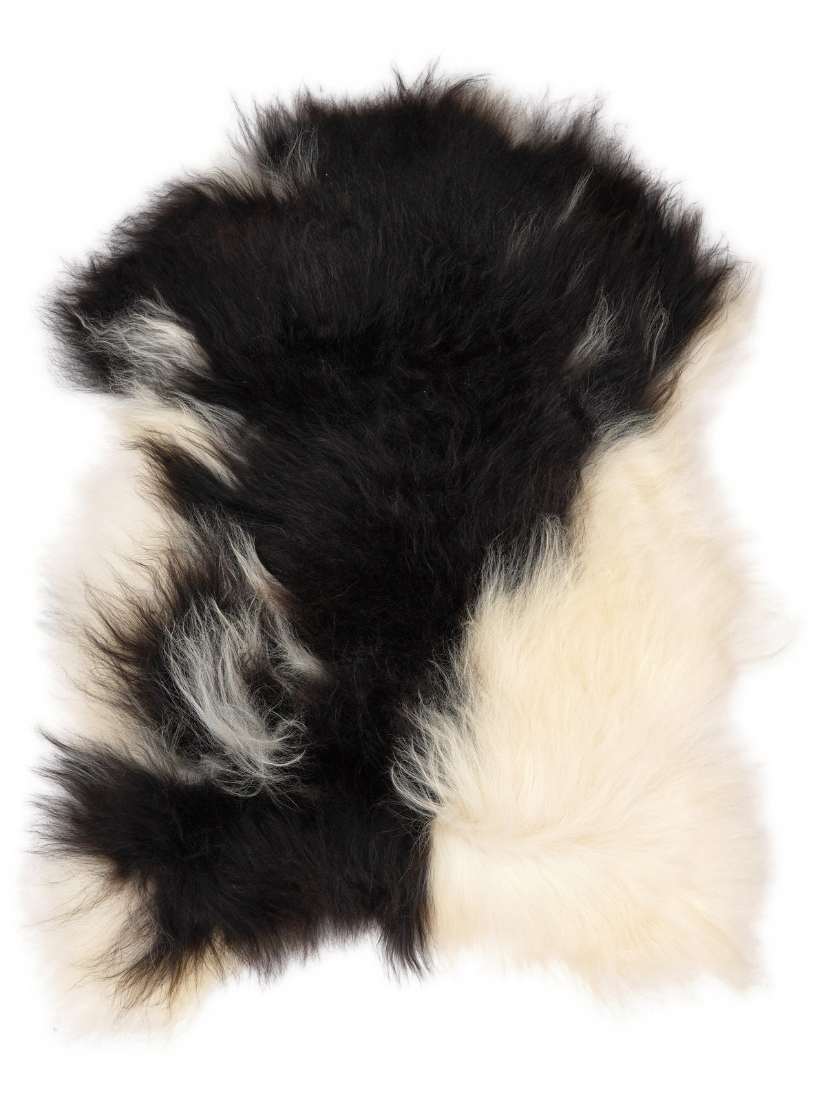Icelandic multicolour sheepskin rug of about 110 × 80 cm, seen from above: the exact sheepskin you receive