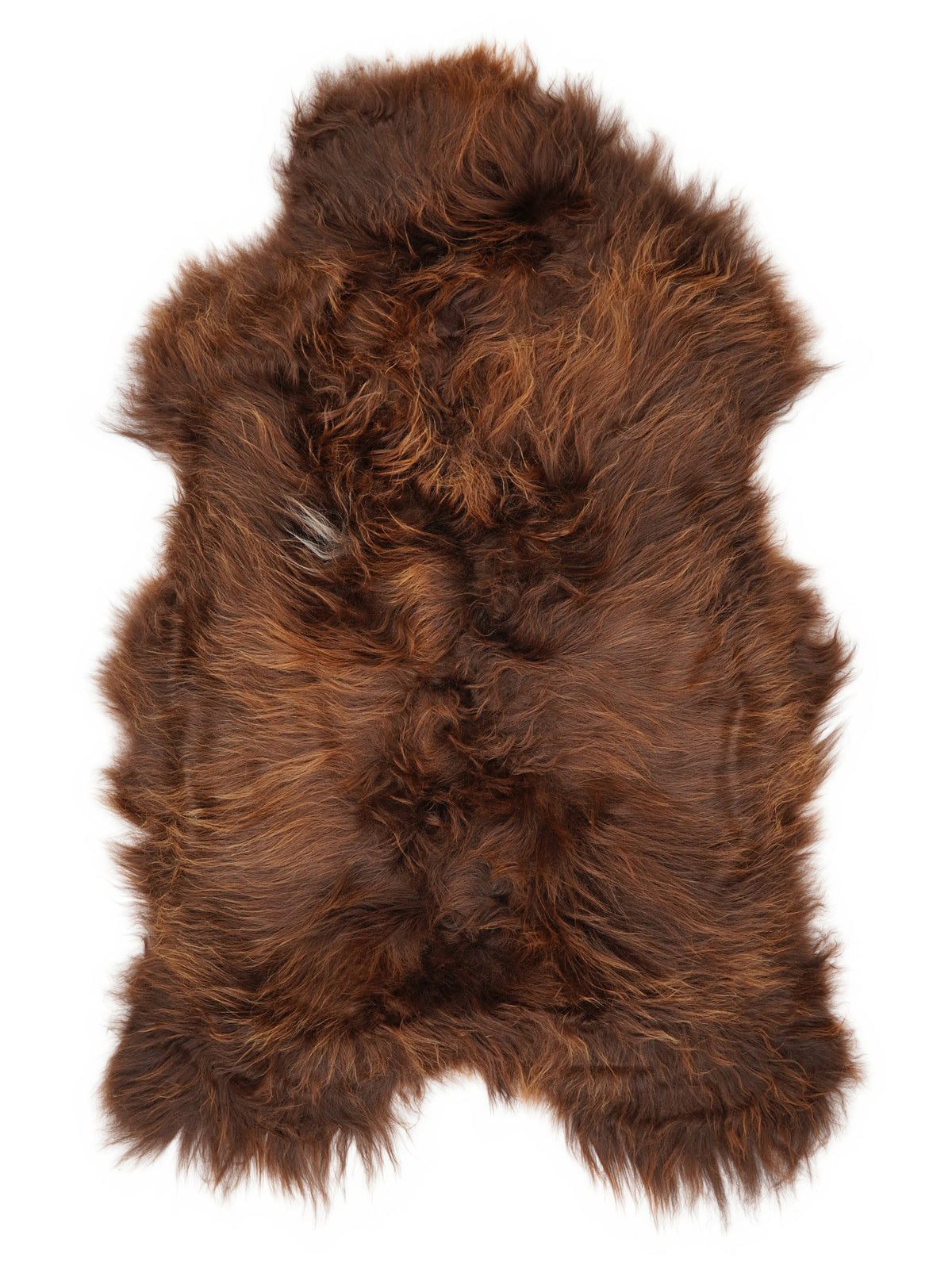 Icelandic multicolour sheepskin rug of about 120 × 70 cm, seen from above: the exact sheepskin you receive