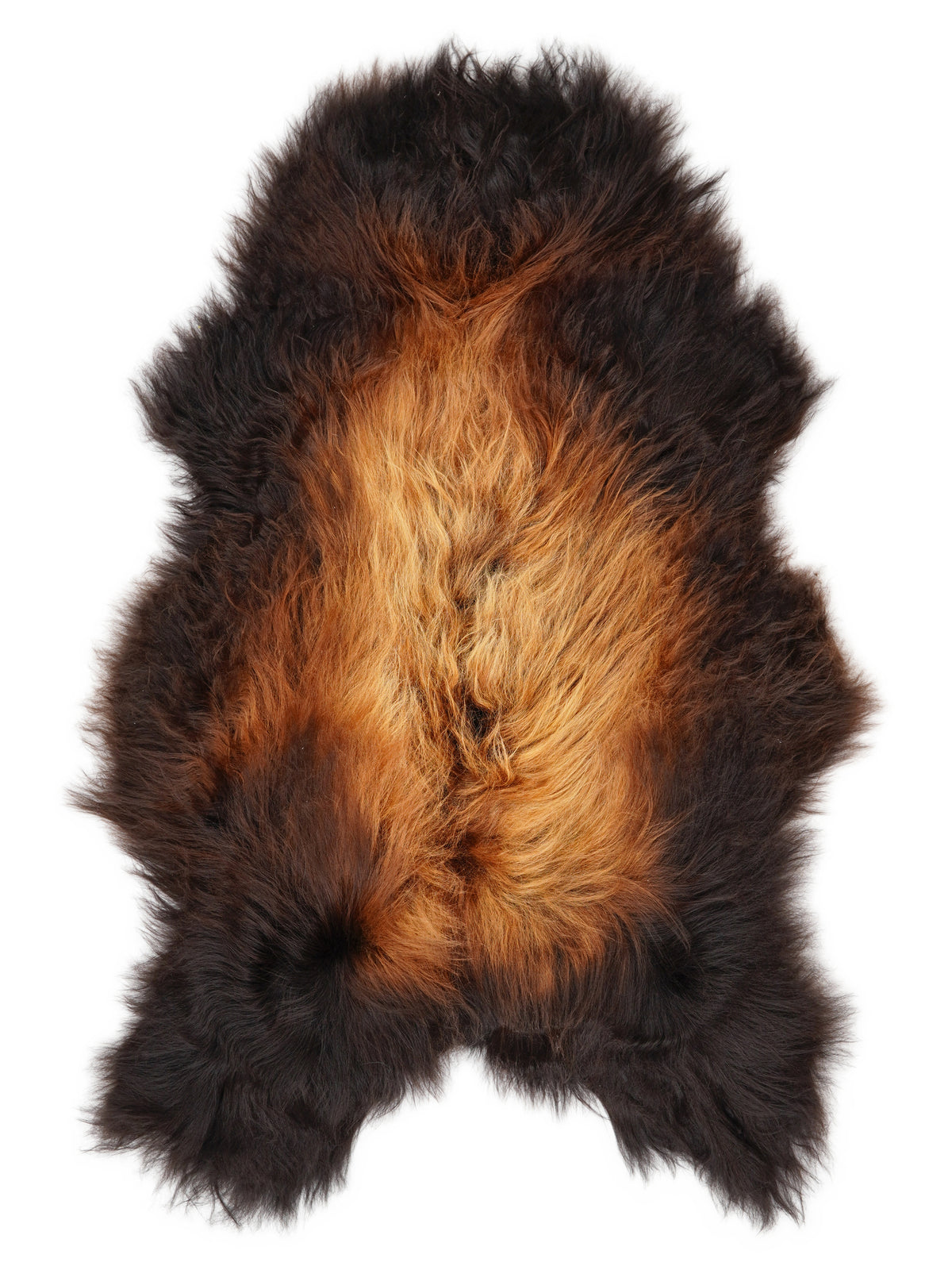 Icelandic multicolour sheepskin rug of about 130 × 80 cm, seen from above: the exact sheepskin you receive