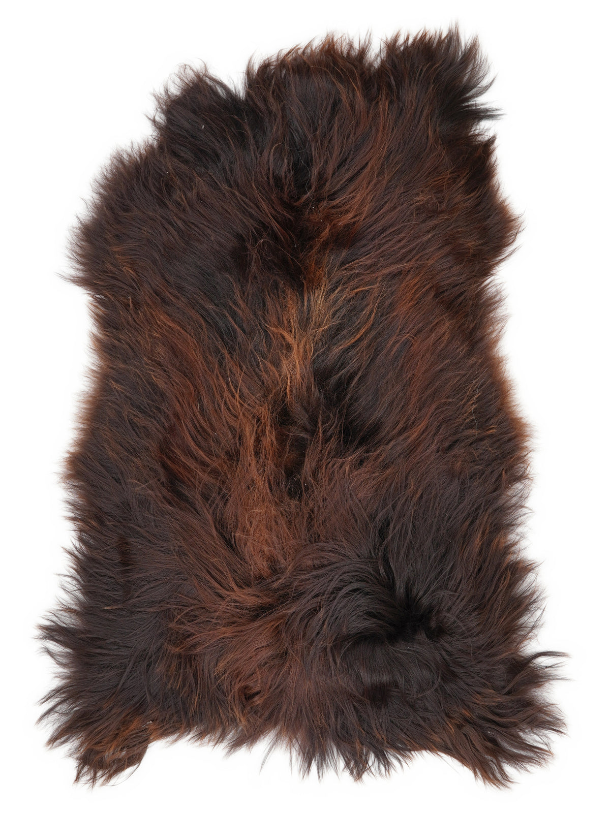 Icelandic multicolour sheepskin rug of about 120 × 70 cm, seen from above: the exact sheepskin you receive