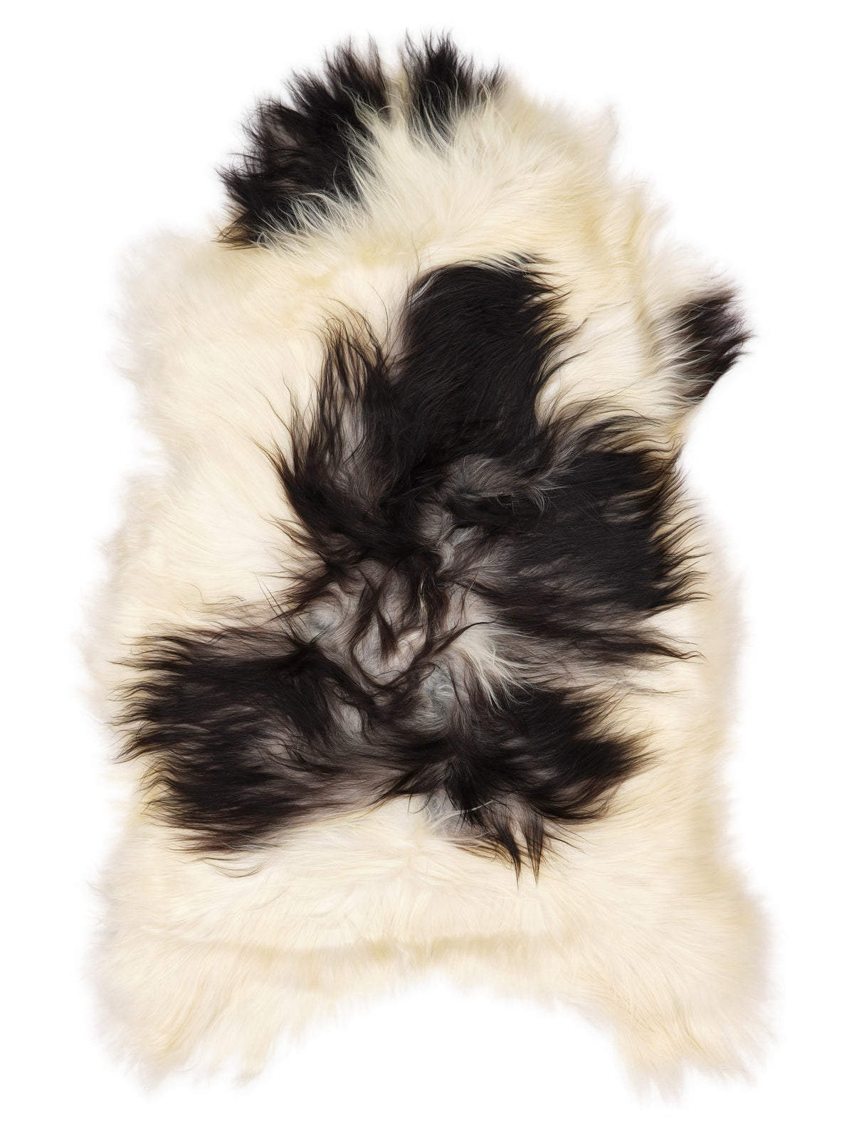 Icelandic multicolour sheepskin rug of about 120 × 70 cm, seen from above: the exact sheepskin you receive