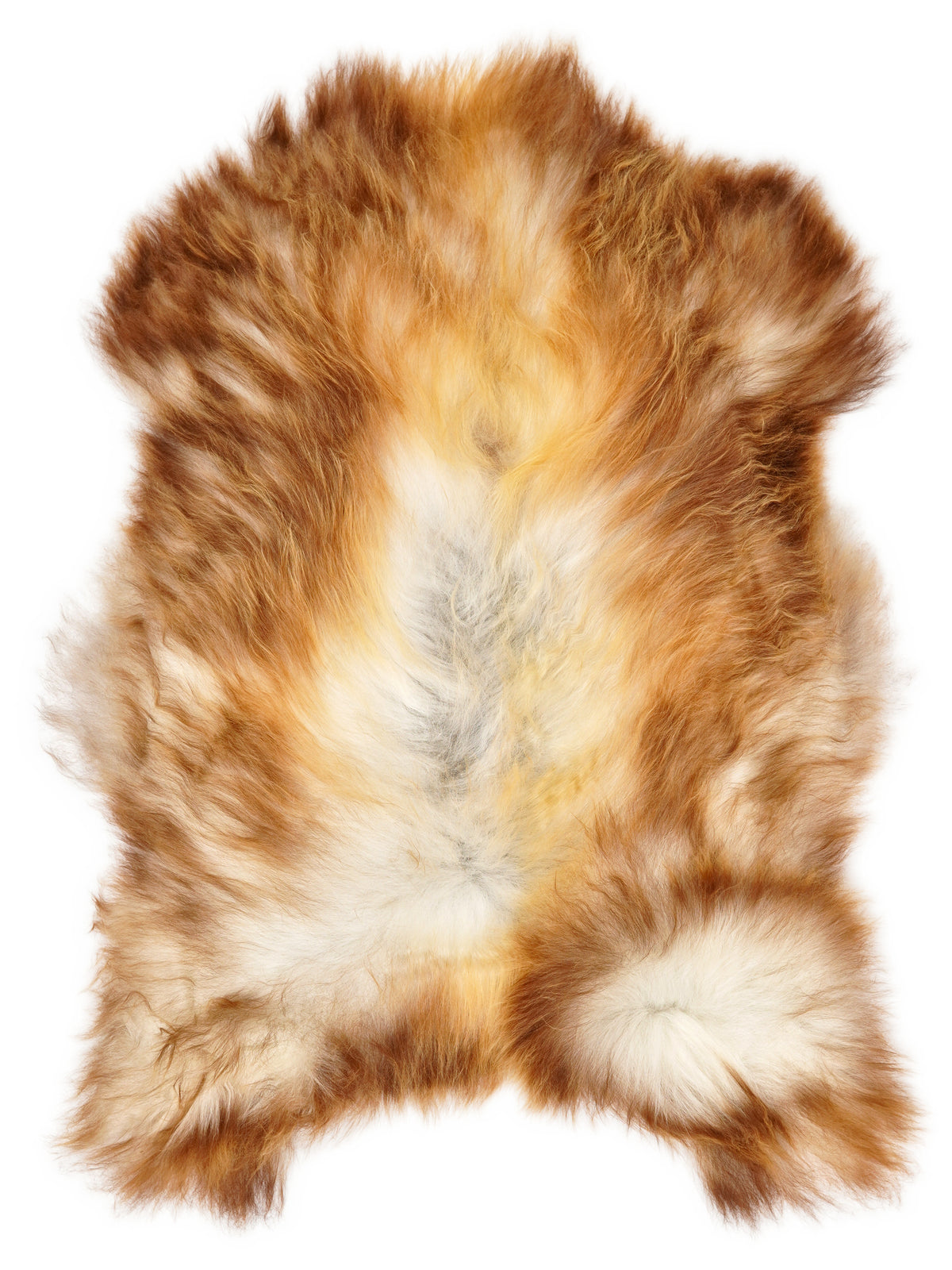Icelandic multicolour sheepskin rug of about 120 × 75 cm, seen from above: the exact sheepskin you receive