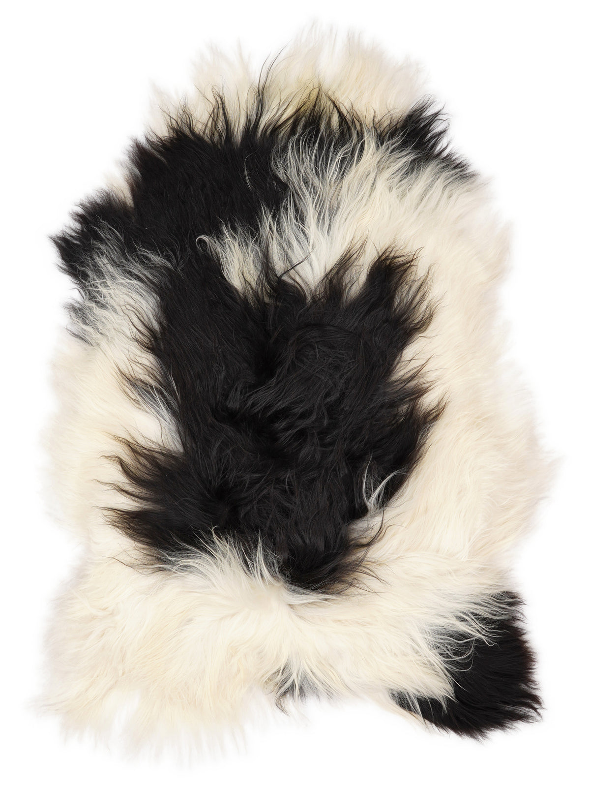 Icelandic multicolour sheepskin rug of about 120 × 80 cm, seen from above: the exact sheepskin you receive