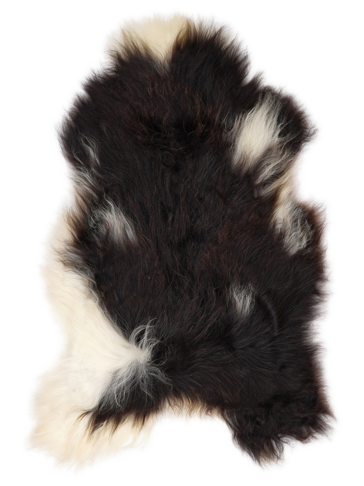 Icelandic multicolour sheepskin rug of about 125 × 75 cm, seen from above: the exact sheepskin you receive