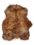 Icelandic multicolour sheepskin rug of about 120 × 90 cm, seen from above: the exact sheepskin you receive