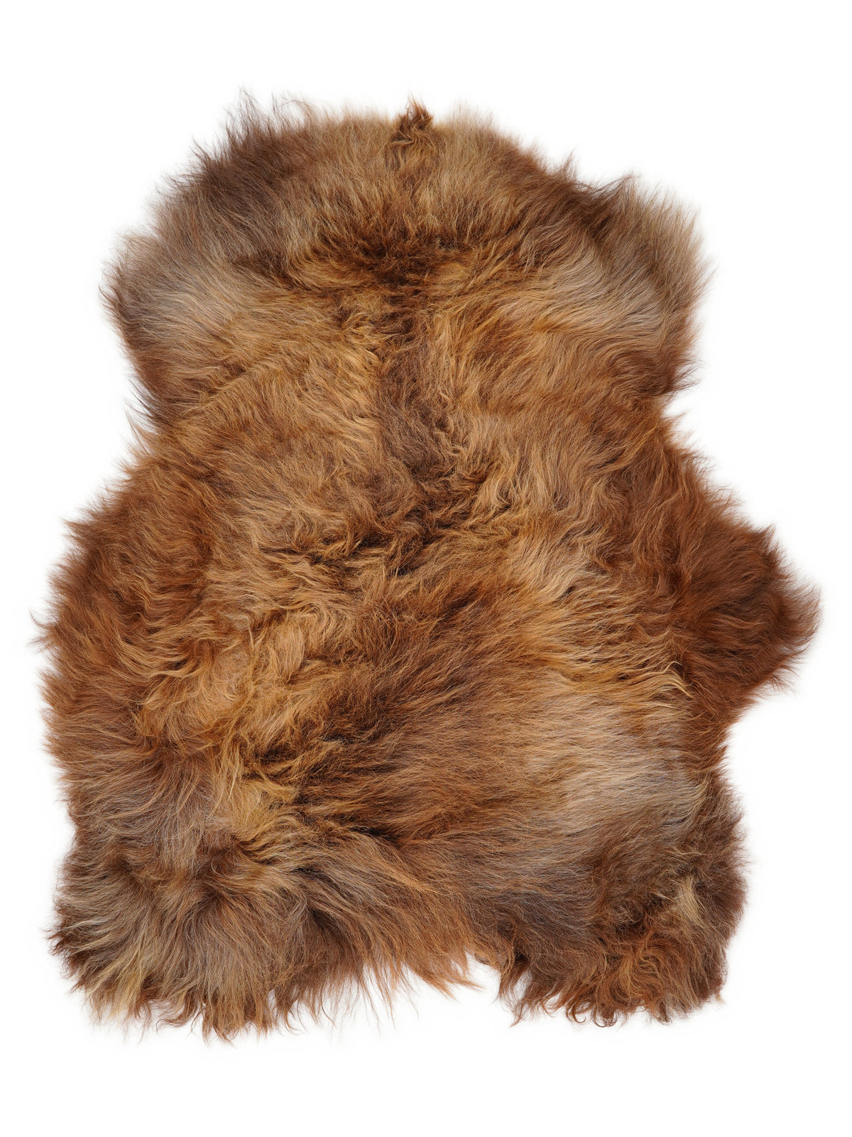 Icelandic multicolour sheepskin rug of about 120 × 90 cm, seen from above: the exact sheepskin you receive