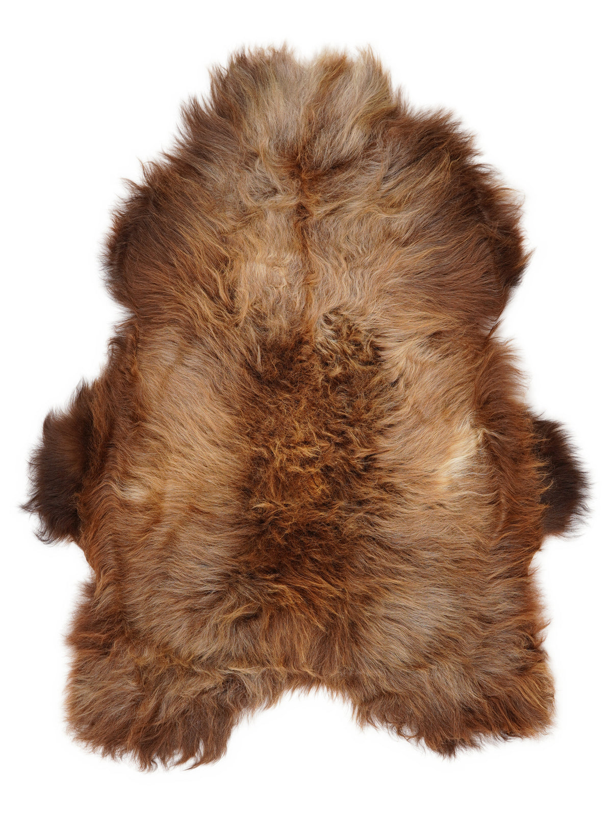 Icelandic multicolour sheepskin rug of about 120 × 90 cm, seen from above: the exact sheepskin you receive