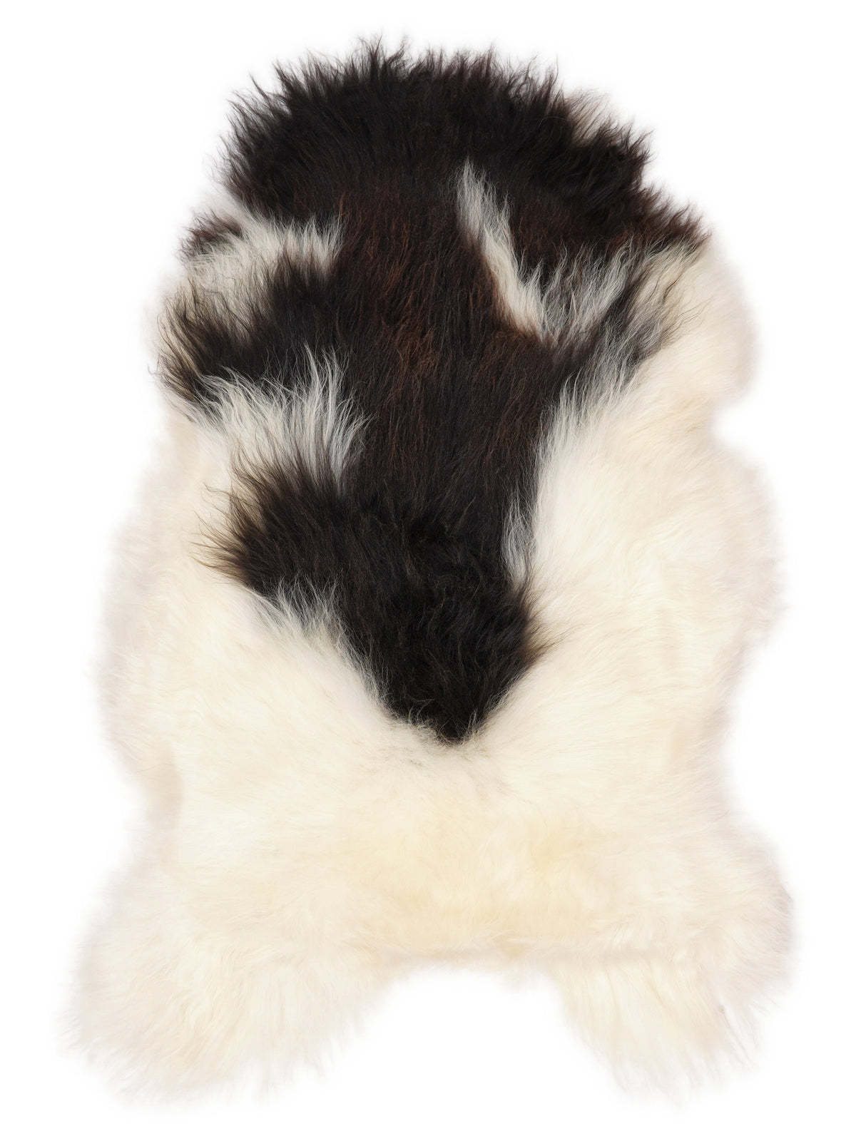 Icelandic multicolour sheepskin rug of about 115 × 70 cm, seen from above: the exact sheepskin you receive