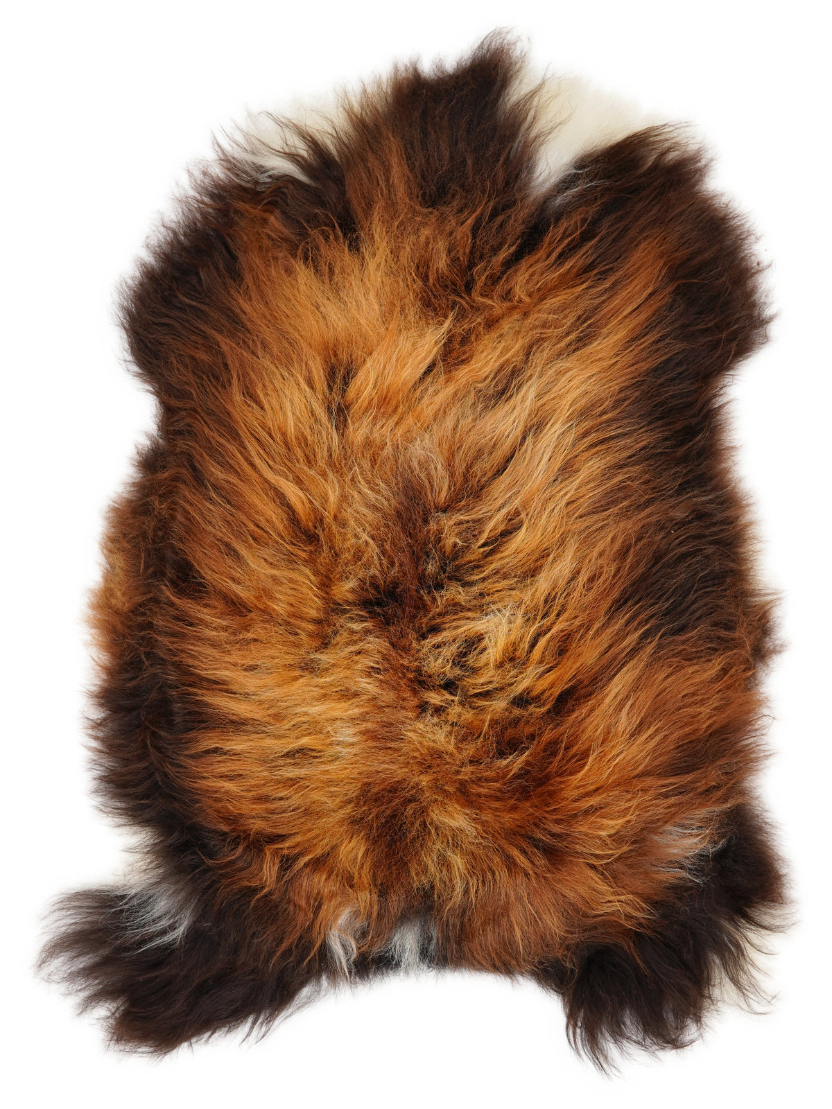 Icelandic multicolour sheepskin rug of about 110 × 70 cm, seen from above: the exact sheepskin you receive