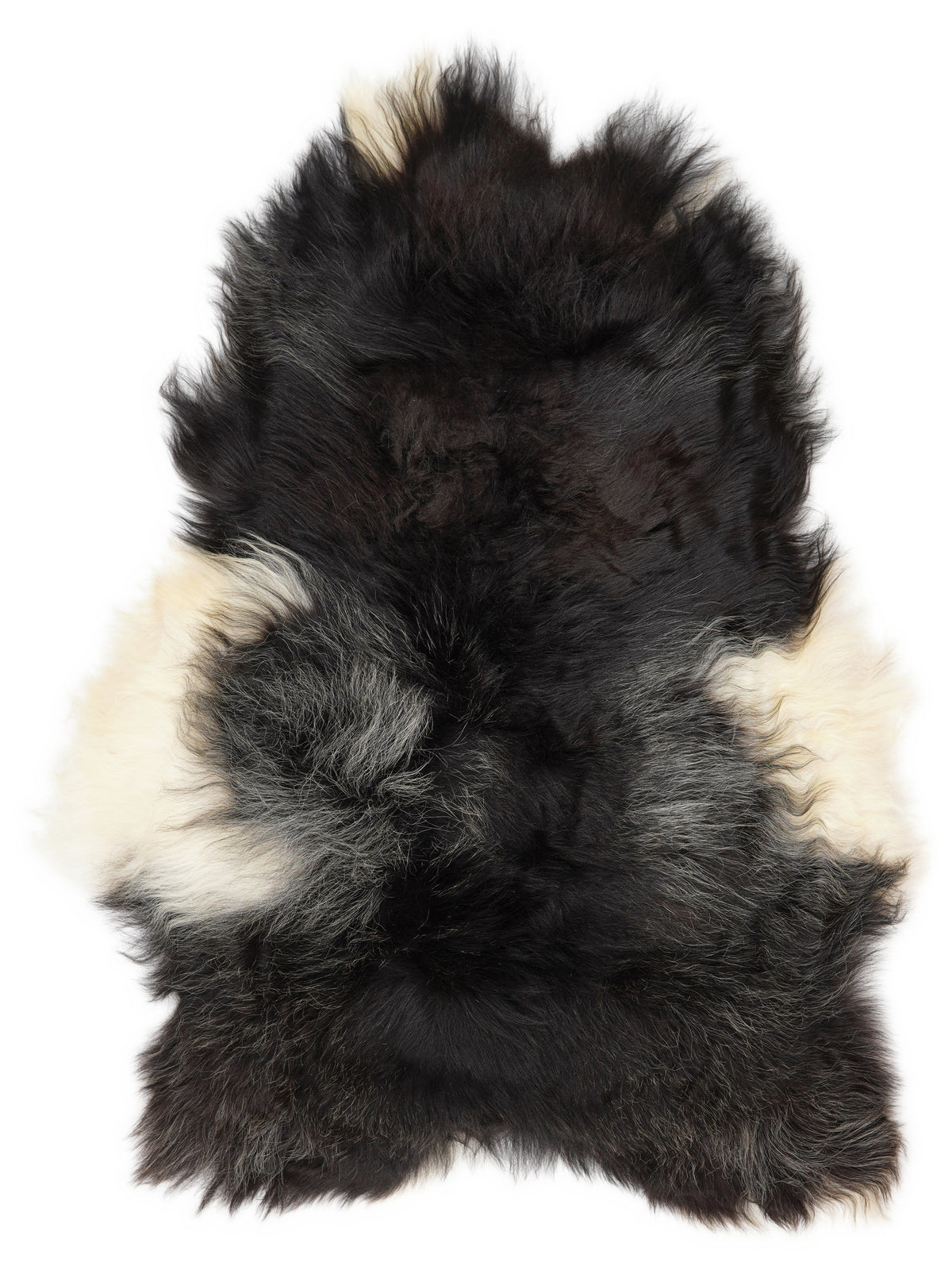 Icelandic multicolour sheepskin rug of about 120 × 85 cm, seen from above: the exact sheepskin you receive