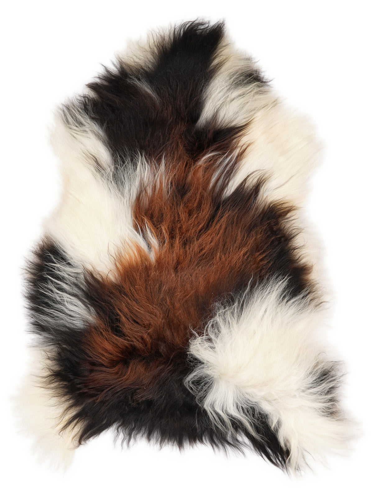 Icelandic multicolour sheepskin rug of about 120 × 75 cm, seen from above: the exact sheepskin you receive
