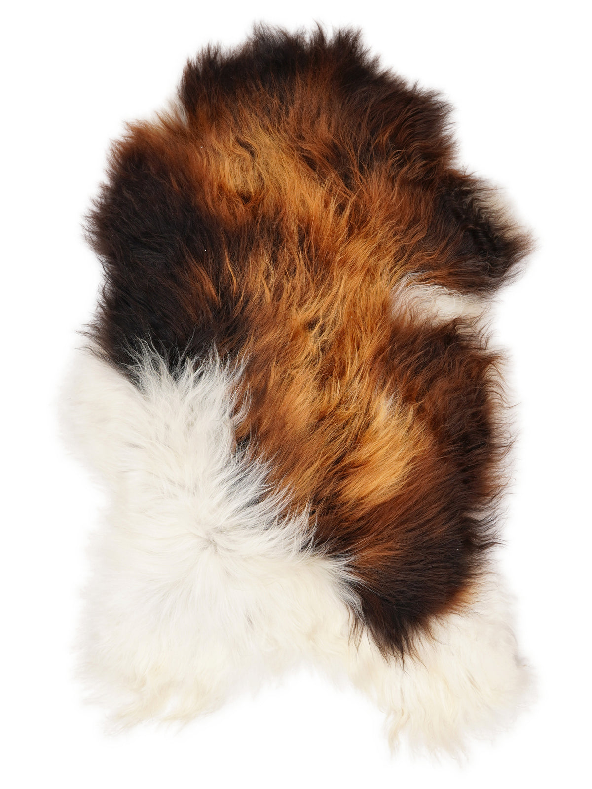 Icelandic multicolour sheepskin rug of about 120 × 70 cm, seen from above: the exact sheepskin you receive