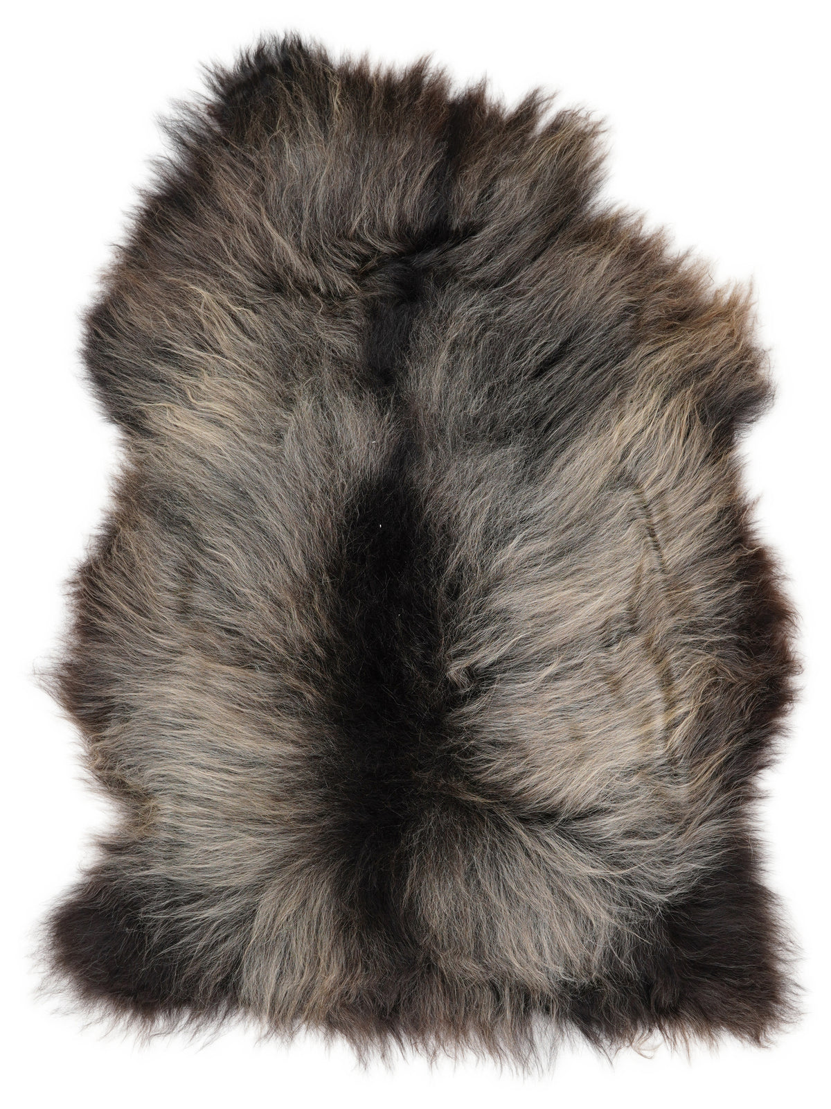 Icelandic multicolour sheepskin rug of about 120 × 80 cm, seen from above: the exact sheepskin you receive