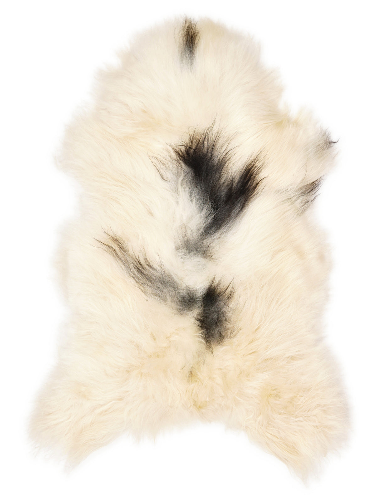 Icelandic multicolour sheepskin rug of about 110 × 65 cm, seen from above: the exact sheepskin you receive