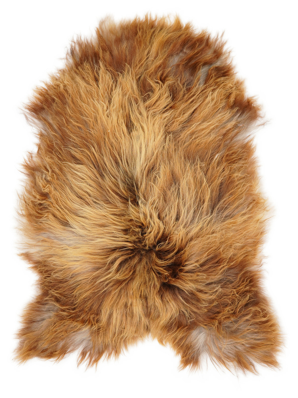 Icelandic multicolour sheepskin rug of about 120 × 80 cm, seen from above: the exact sheepskin you receive