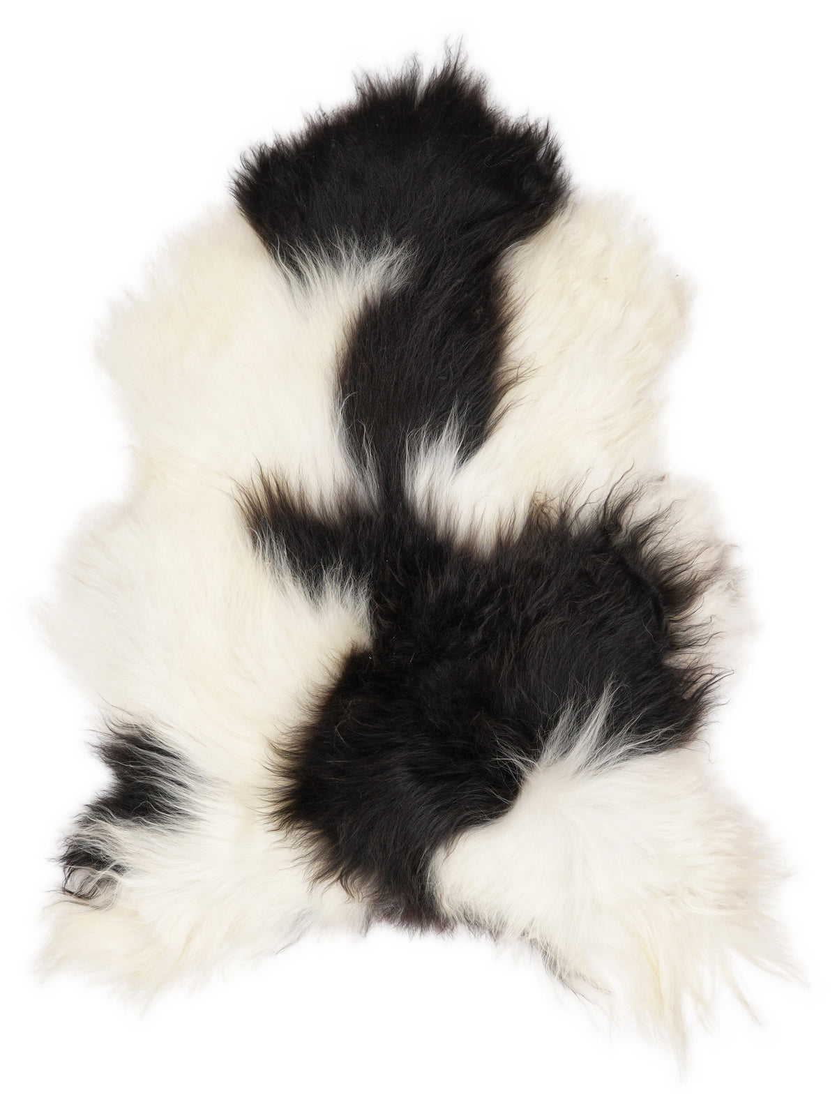 Icelandic multicolour sheepskin rug of about 130 × 80 cm, seen from above: the exact sheepskin you receive