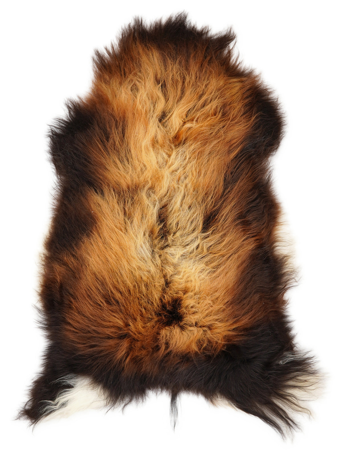 Icelandic multicolour sheepskin rug of about 115 × 65 cm, seen from above: the exact sheepskin you receive