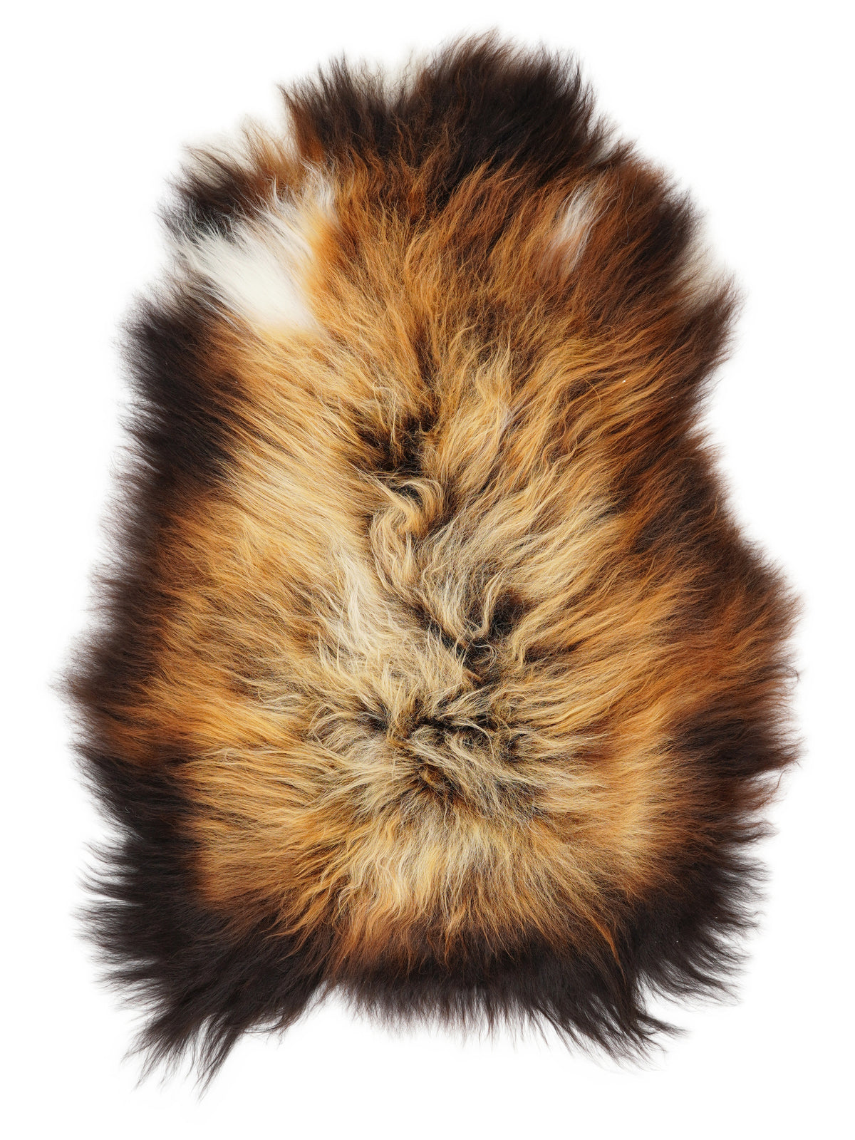 Icelandic multicolour sheepskin rug of about 110 × 75 cm, seen from above: the exact sheepskin you receive