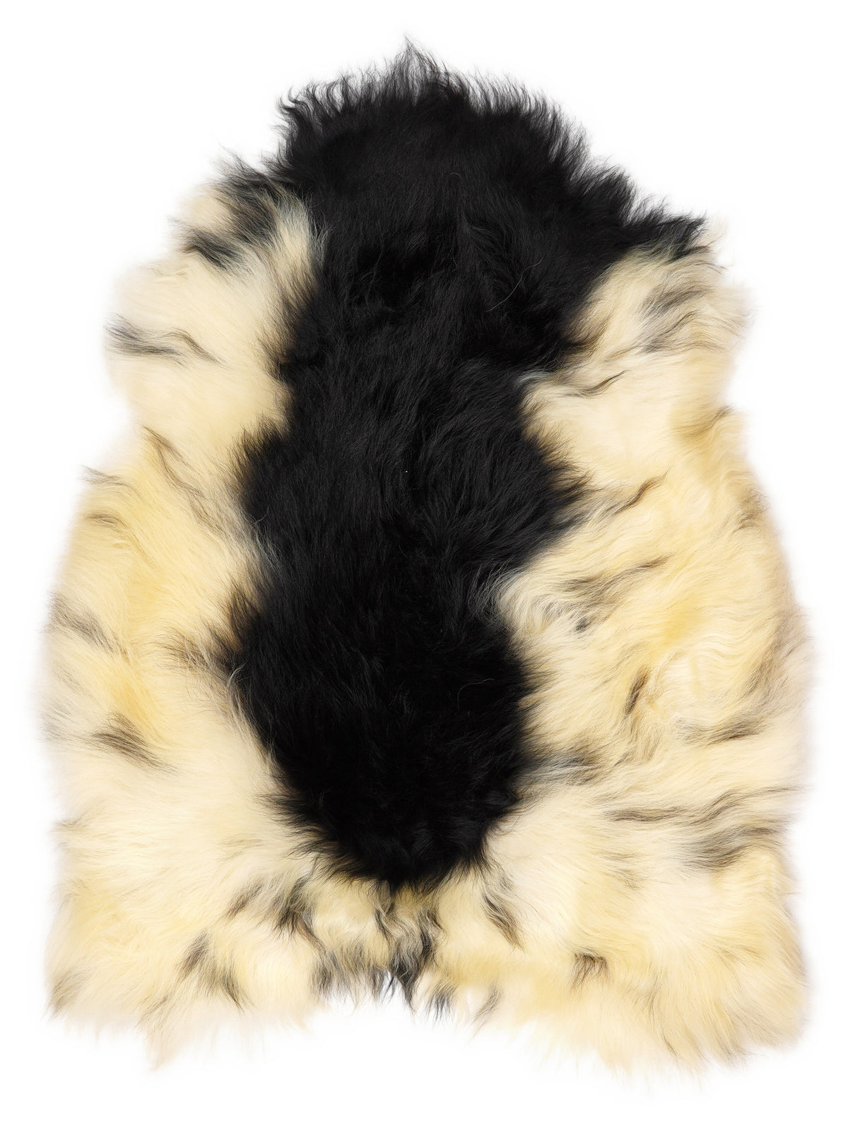 Icelandic multicolour sheepskin rug of about 115 × 85 cm, seen from above: the exact sheepskin you receive
