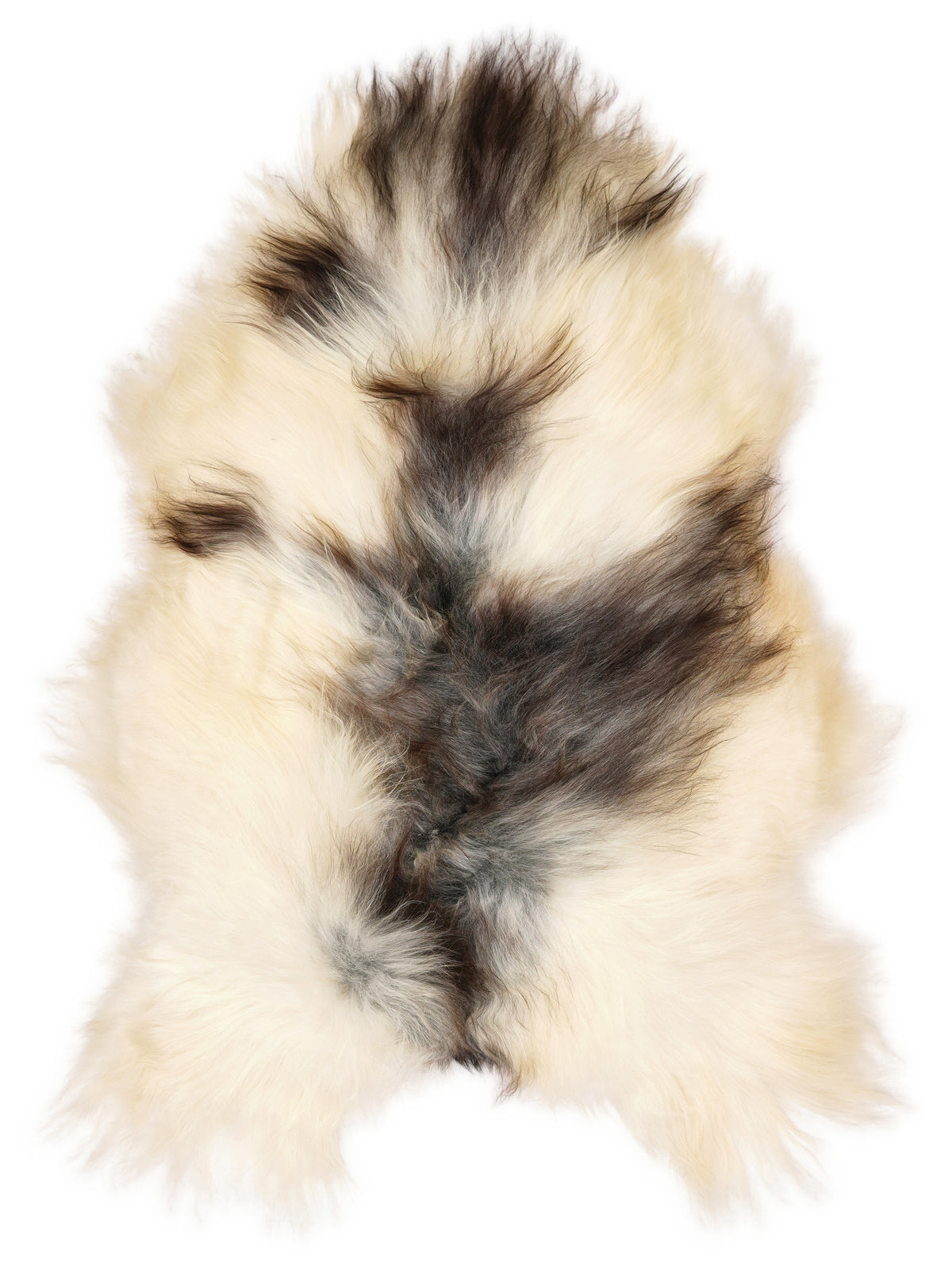 Icelandic multicolour sheepskin rug of about 120 × 80 cm, seen from above: the exact sheepskin you receive