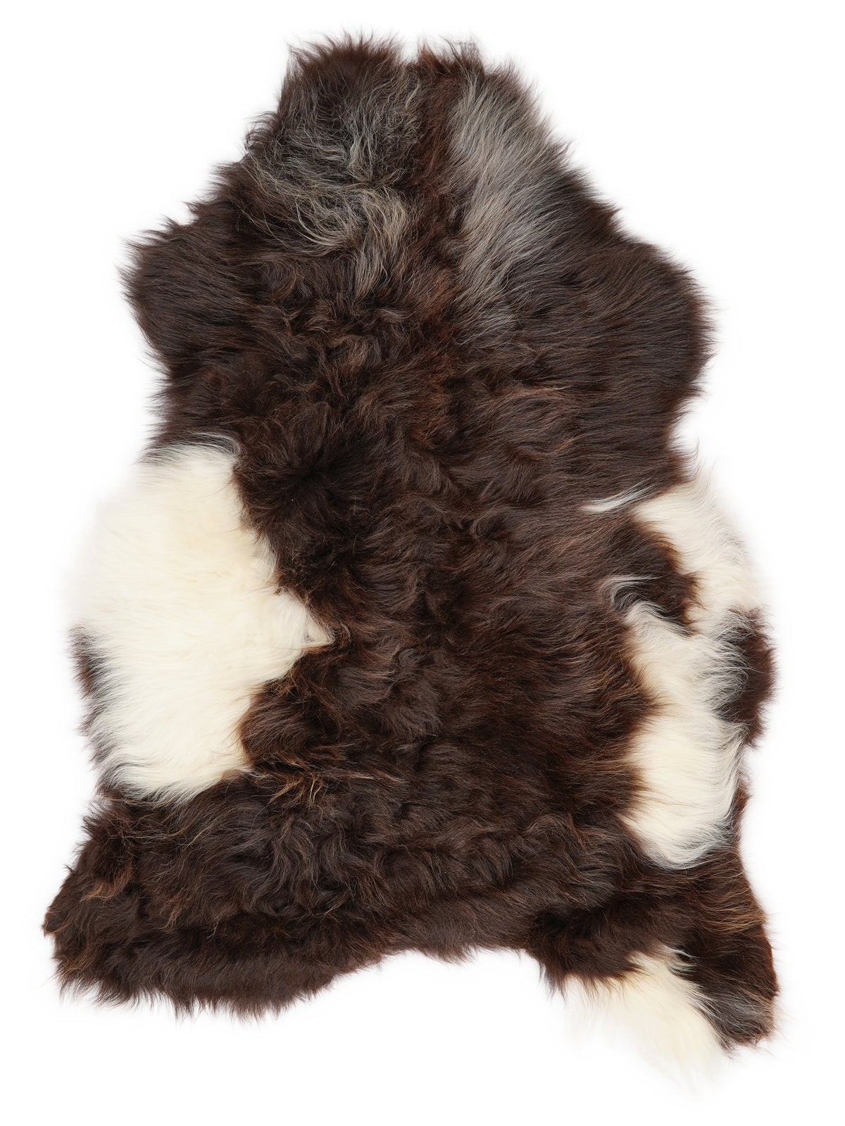 Icelandic multicolour sheepskin rug of about 110 × 65 cm, seen from above: the exact sheepskin you receive