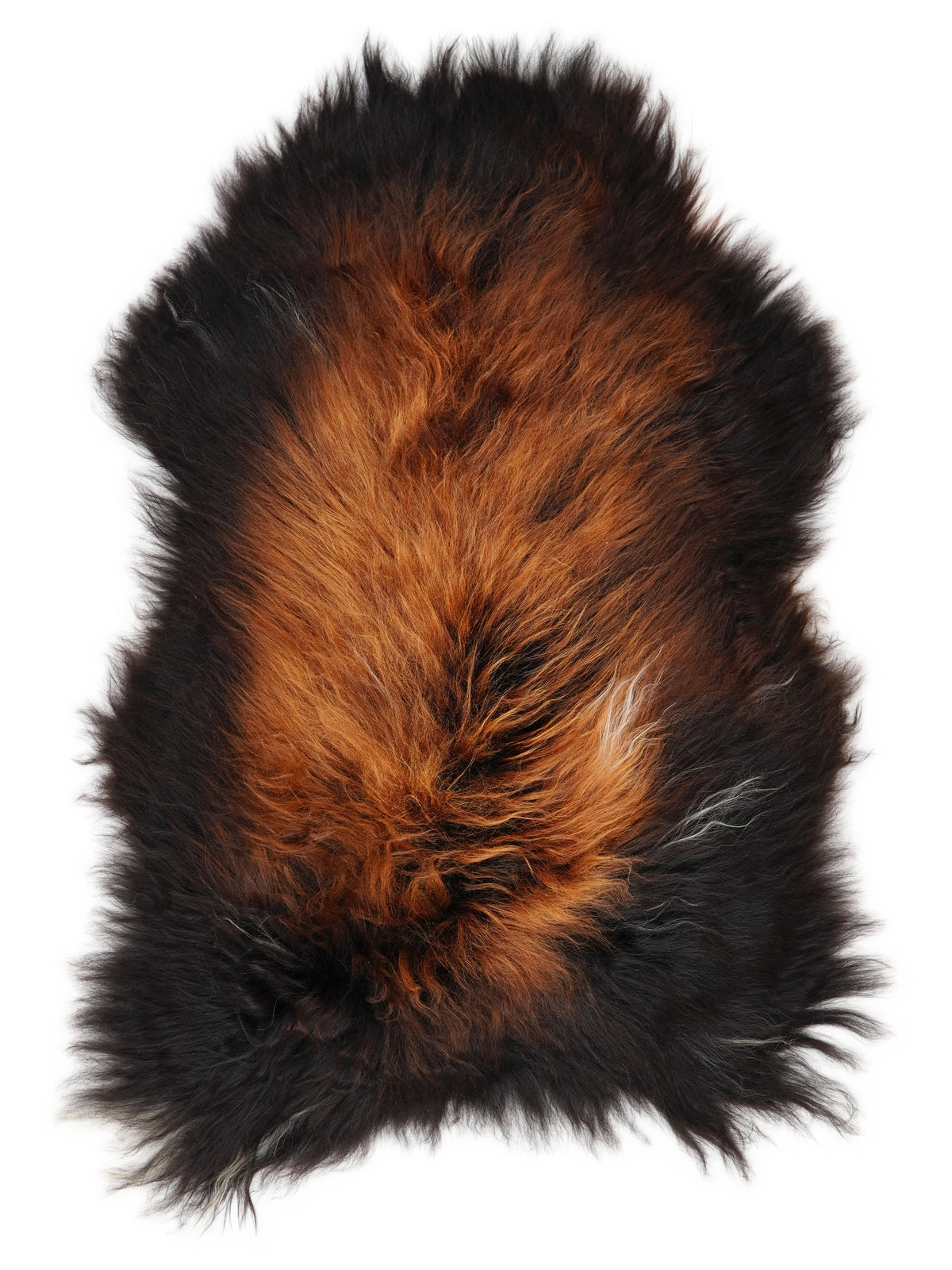 Icelandic multicolour sheepskin rug of about 105 × 65 cm, seen from above: the exact sheepskin you receive