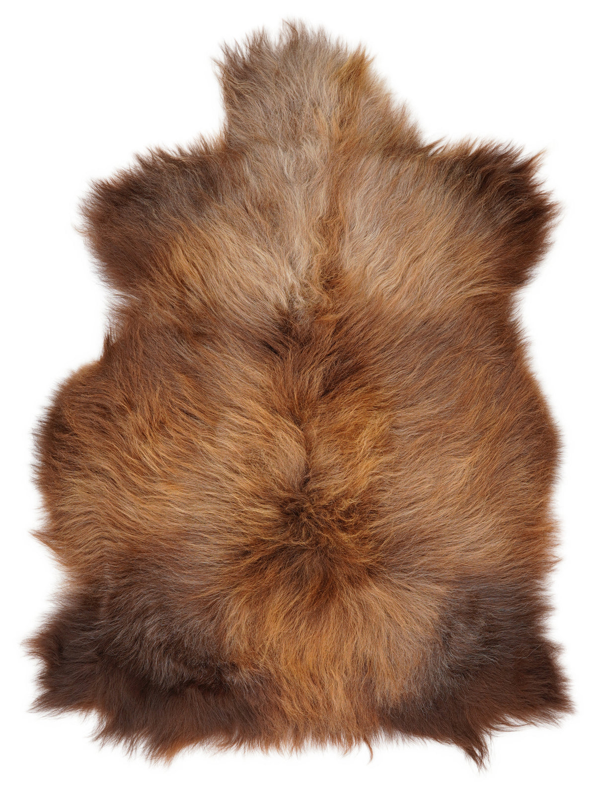 Icelandic multicolour sheepskin rug of about 120 × 80 cm, seen from above: the exact sheepskin you receive