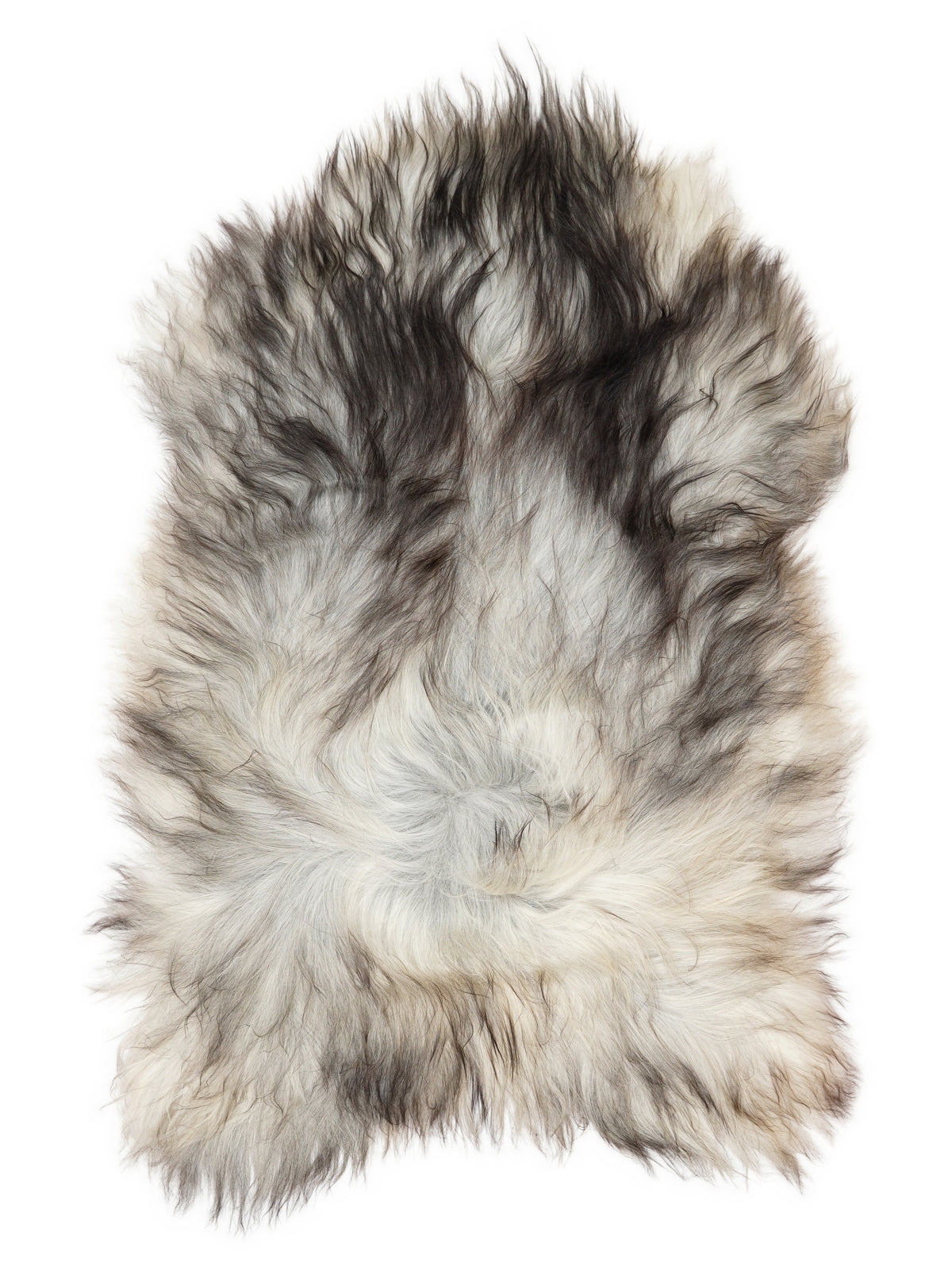 Grey Icelandic sheepskin rug of about 120 × 80 cm, seen from above: the exact sheepskin you receive